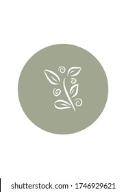 Vector illustration of a plant. Floral elements for web and print. Template for postcards, packaging, fabrics, shop and other uses.