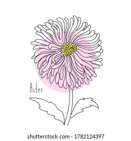 ilustración vectorial planta flor trama trama trama mano y texto sobre fondo blanco