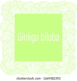 Vector illustration of a plant frame, foliage