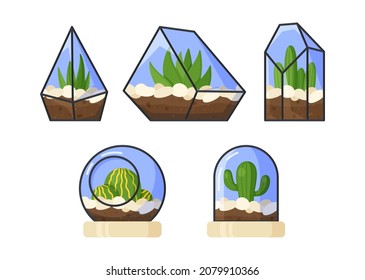 Vector illustration of a plant in glass. Set of indoor plants in glass. Sprouting plants.
