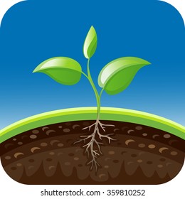 Vector illustration plant growing in the ground. Seedling icon