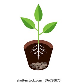 Vector illustration plant growing in the ground - vector illustration