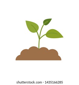 Vector illustration of plant growing out of the ground.