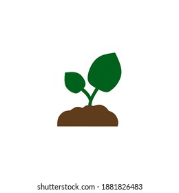 Vector illustration of plant growing from a tree