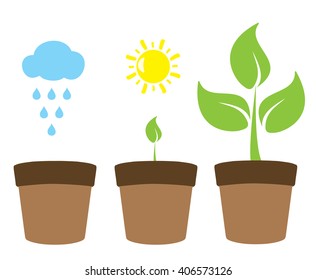vector illustration of a plant growth gardening concept