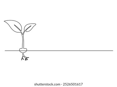 Vector illustration of plant growth process continuous one line drawing