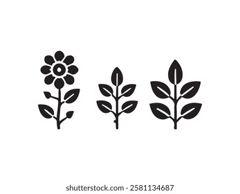 Vector Illustration of Plant Growth Stages