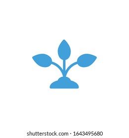 Vector illustration, plant icon template.