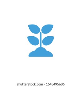 Vector illustration, plant icon template.