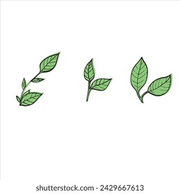 vector illustration of plant leaves, picture of plant elements,