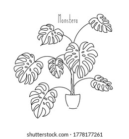 vector illustration plant Monstera hand line contour and text on a white background