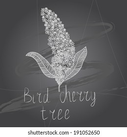 Vector illustration with plant on chalkboard