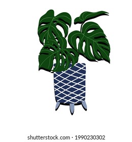 an vector illustration of plant on the pot