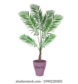 an vector illustration of plant on the pot