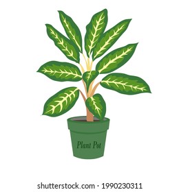 an vector illustration of plant on the pot