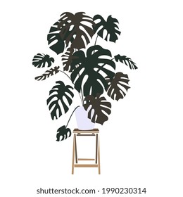 una ilustración vectorial de la planta en la olla