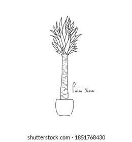 vector illustration plant palm yucca hand line contour and text on a white background