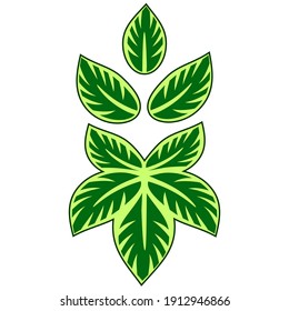 Vector illustration of plant pattern ornament