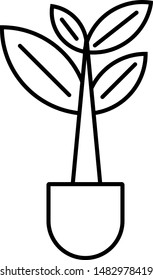 Vector illustration of plant in the pot