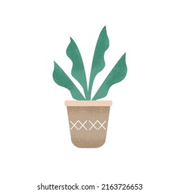 vector illustration of plant in a pot