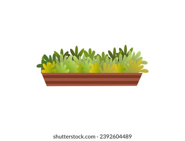 vector illustration of plant in the pot 