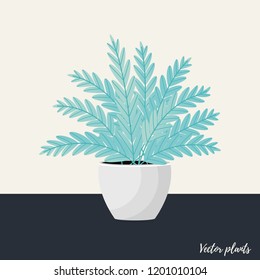 Vector Illustration. Plant in pot. Aslenium, Salvia Officinalis, Coleus, Caladium, ferns flower. Flat style