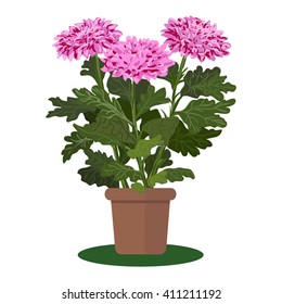 Vector illustration plant in pot. Blooming flower