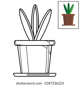 vector illustration of a plant in a pot of two types in color and without. coloring book for children and adults, plant in the office, indoor plant