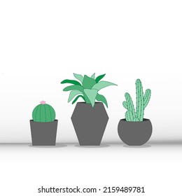 Vector illustration Plant in pots.