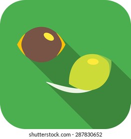 Vector illustration of plant seed.