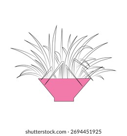  Ilustración vectorial de una planta, planta de araña, planta de arte de línea
