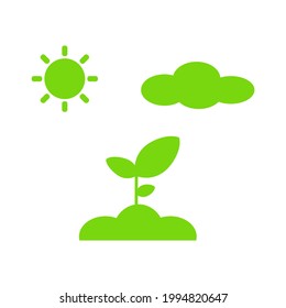 Ilustración vectorial de planta, sol y nubes, soleado, luz solar natural aislado en fondo blanco. (Medio ambiente, jardín, natural, orgánico, arbóreo, ecológico)