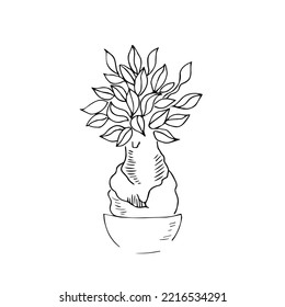 vector illustration plant tree hand line contour on a white background