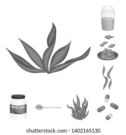 Vector illustration of plant and weed icon. Set of plant and sea vector icon for stock.