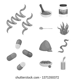 Vector illustration of plant and weed symbol. Collection of plant and sea vector icon for stock.