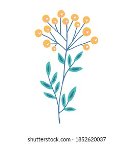 Vector illustration. Сute plant with yellow flowers. Tansy isolated on white background. Decorative art. 