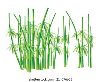 Vector illustration of plants and bamboo.