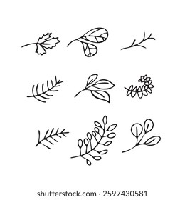 Vector illustration plants in doodle technique