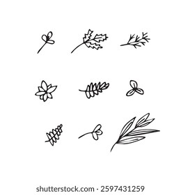 Vector illustration plants in doodle technique