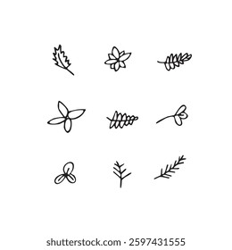 Vector illustration plants in doodle technique
