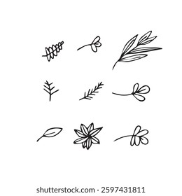 Vector illustration plants in doodle technique