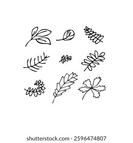 Vector illustration plants and flowers in doodle technique