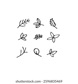 Vector illustration plants and flowers in doodle technique