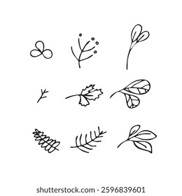 Vector illustration plants and flowers in doodle technique