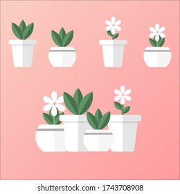 ilustraciones vectoriales plantas y flores en macetas, estilo plano e icono de plantas de habitación