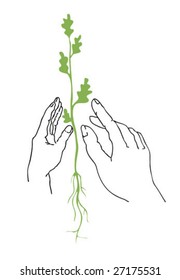 vector illustration of the plants in hand