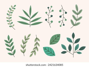 Vector illustration of plants and leaves in hand-drawn style suitable for flowers or decorations. Illustration of plants in abstract form