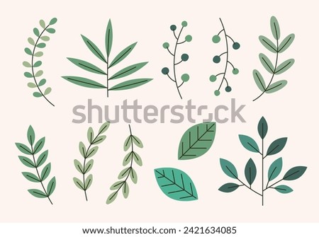 Vector illustration of plants and leaves in hand-drawn style suitable for flowers or decorations. Illustration of plants in abstract form