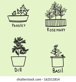 Vector illustration with plants in pots; parsley, basil, dell, rosemary