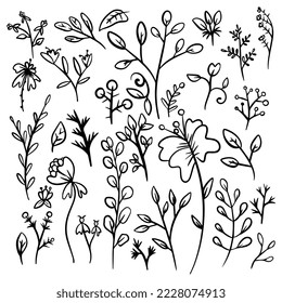 Vector illustration. Plants set. Coloring.